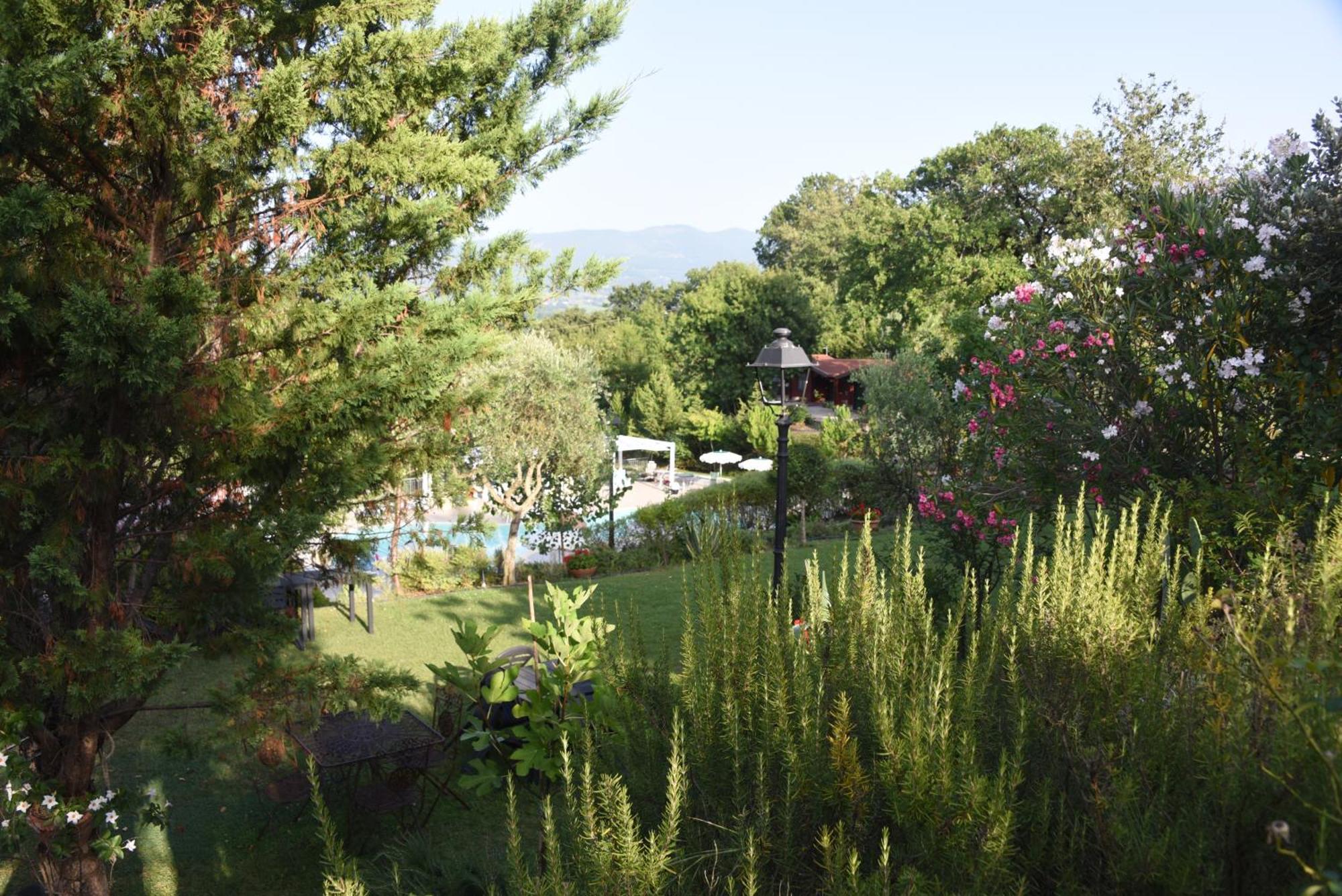 Bosco D'Olmi Country House Sant'Andrea del Garigliano Exteriör bild