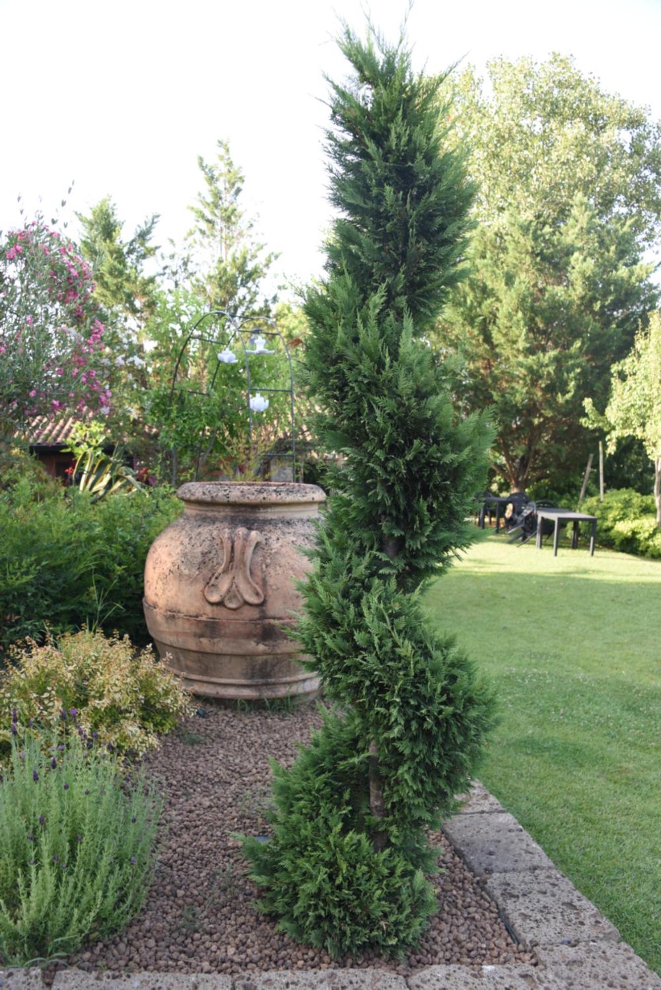 Bosco D'Olmi Country House Sant'Andrea del Garigliano Exteriör bild